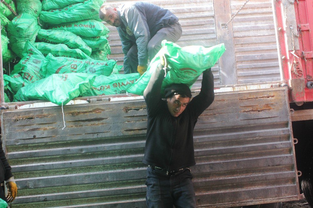 Ağrı’da Kömür Boşaltan İşçilerin Ekmek Mücadelesi