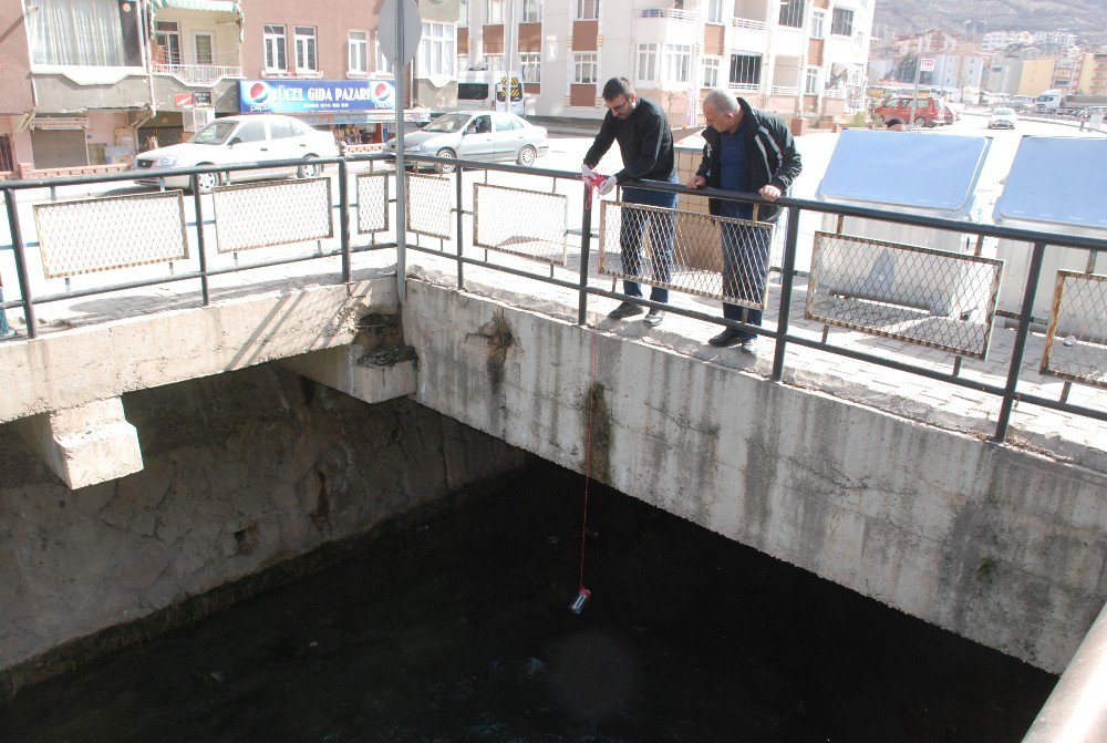 Behzat Deresi’nde Balık Ölümleri