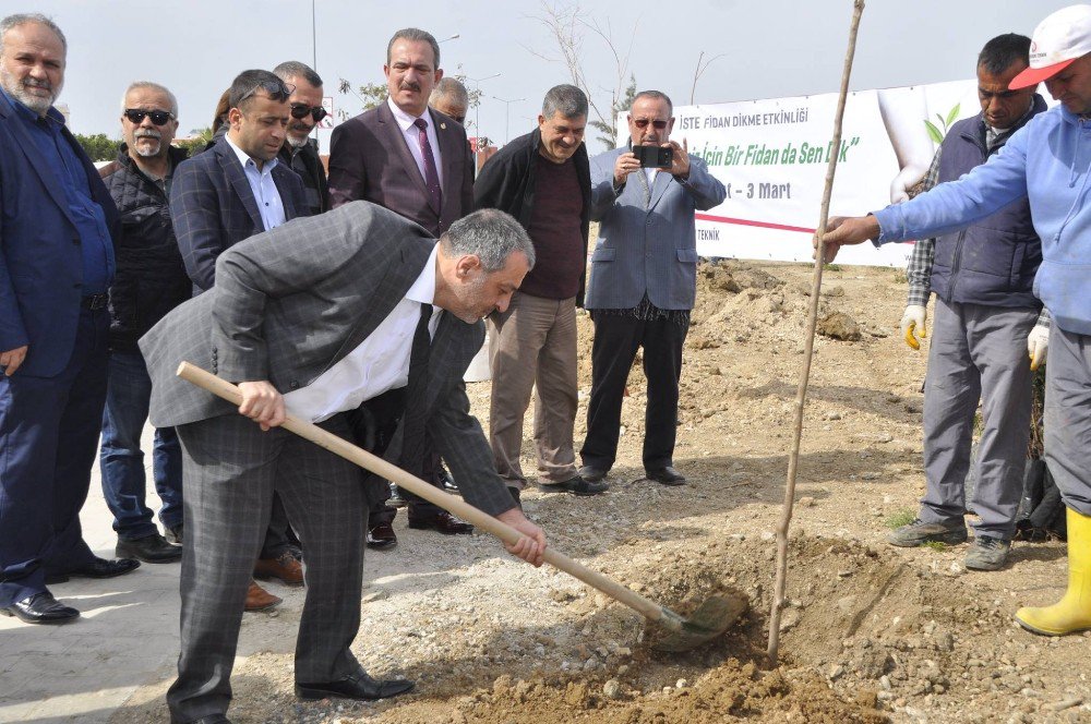 İste’de "Gelecek İçin Bir Fidan Da Sen Dik" Etkinliği