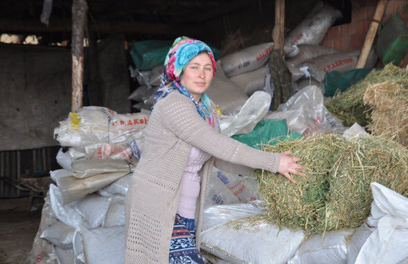 Simavlı Genç Kadın Hibe Düveleri İle Kendi Çiftliğini Kurdu