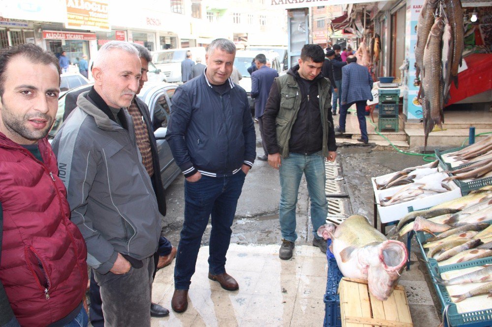 Munzur Çayı’nda 90 Kiloluk Sazan Balığı Yakaladılar