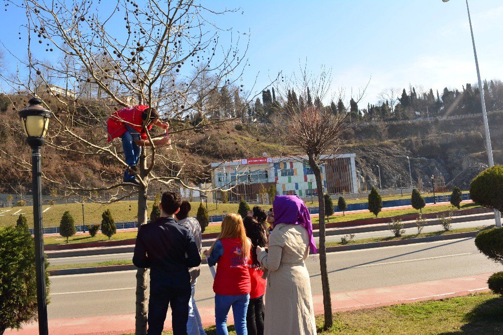 Kozlu Gençlik Merkezi Ve Gönüllü Gençler Doğaya Ve Kuşlara Sahip Çıkıyor