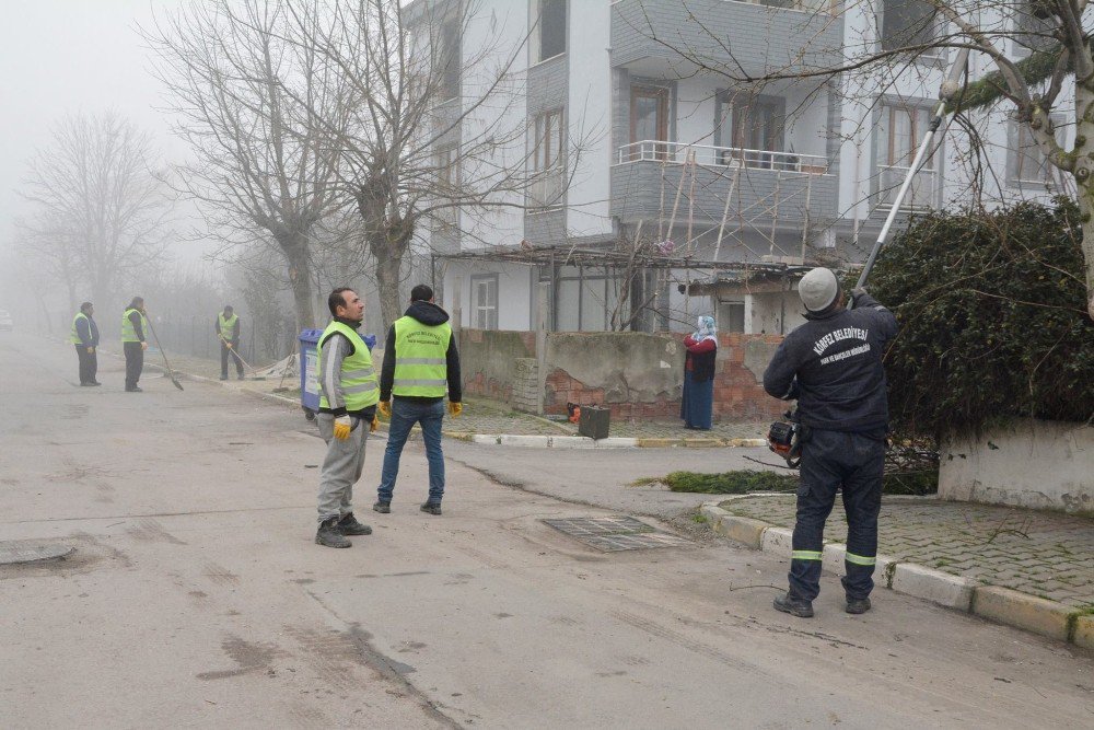 Körfez Belediyesi’den Ağaç Budama Ve Asfaltlama Çalışması