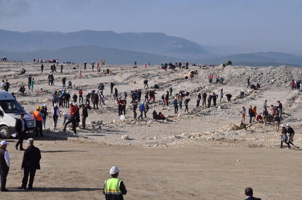 Milas’ta Fethi Sekin Hatıra Ormanı Oluşturuldu