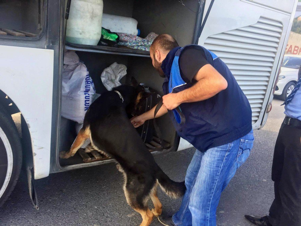 Otobüste Uyuşturucu Ve Bomba İhbarı Asılsız Çıktı