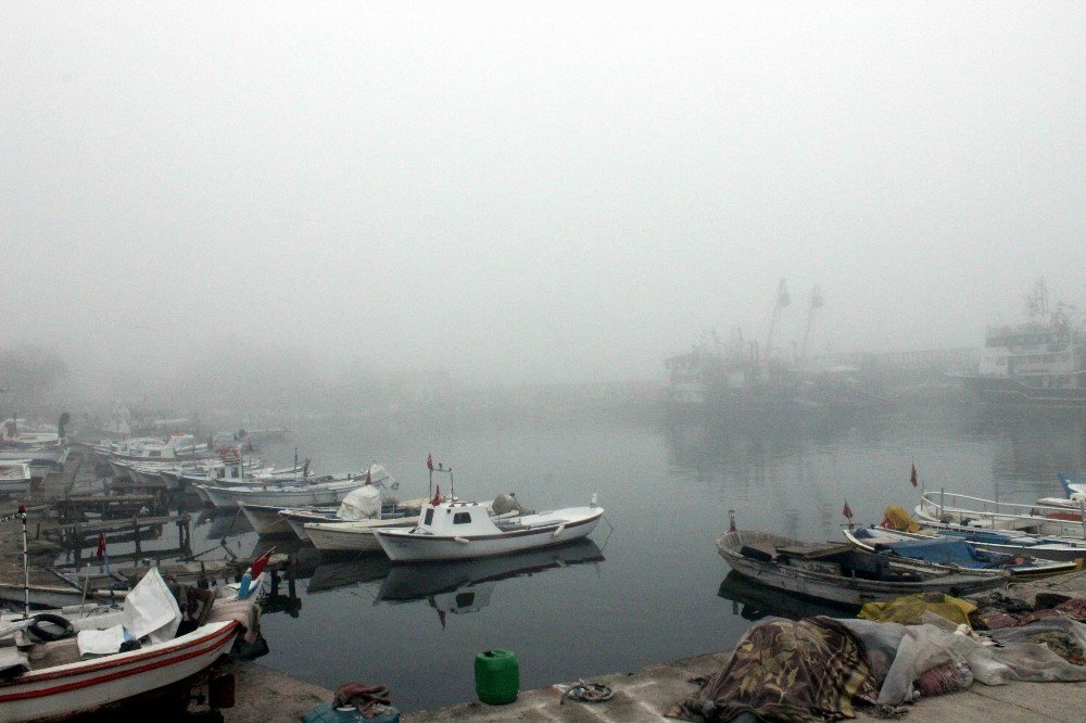 Yoğun Sis Deniz Ve Karayolu Ulaşımını Olumsuz Etkiledi