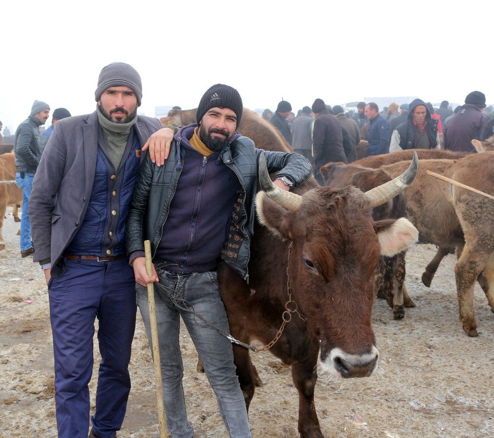 Ağrı Hayvan Pazarı’ndan Türkiye’nin Her Yerine Hayvan Sevkıyatı