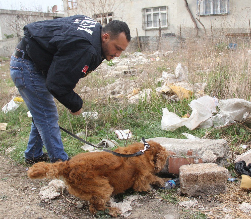 Narkotik Köpeği Coco, Taş Altından Uyuşturucu Zulası Buldu