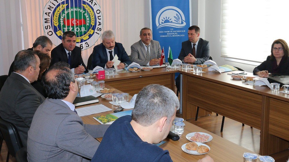 Akdeniz Meyve Sineği İle Biyoteknik Mücadele Dönemi