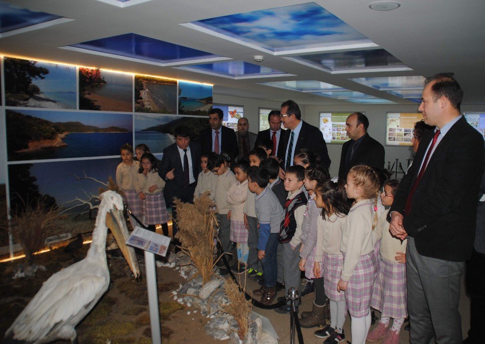 Aydın’da Öğrenciler Yaban Hayatını Öğrendi