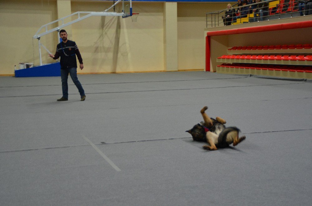 "İbre" Ayakta Alkışlandı