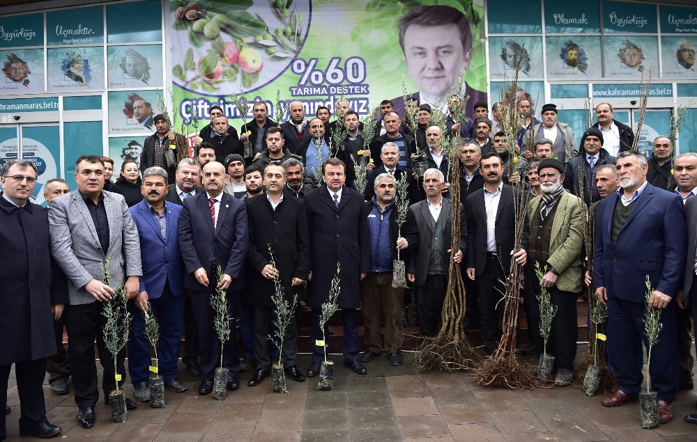 Kahramanmaraş’ta Çiftçiye Fidan Desteği