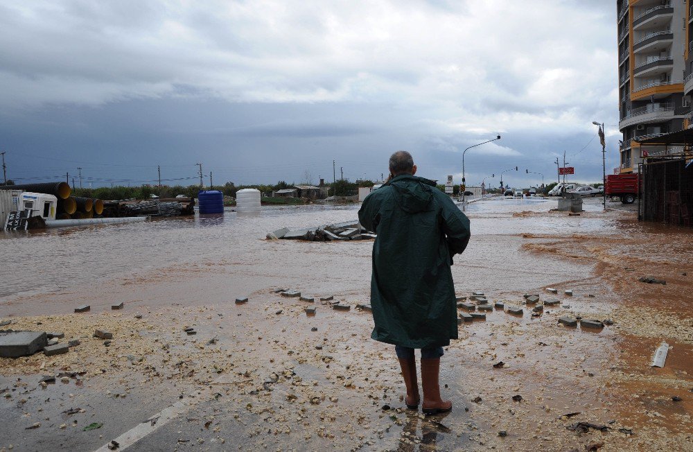 Sele Meydan Okudular