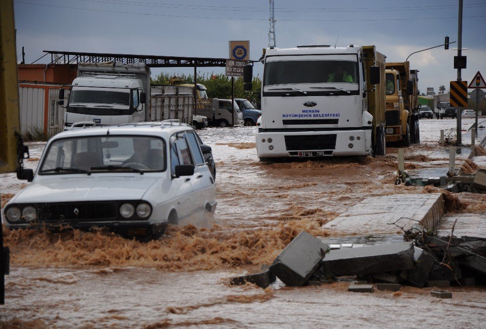 Sele Meydan Okudular