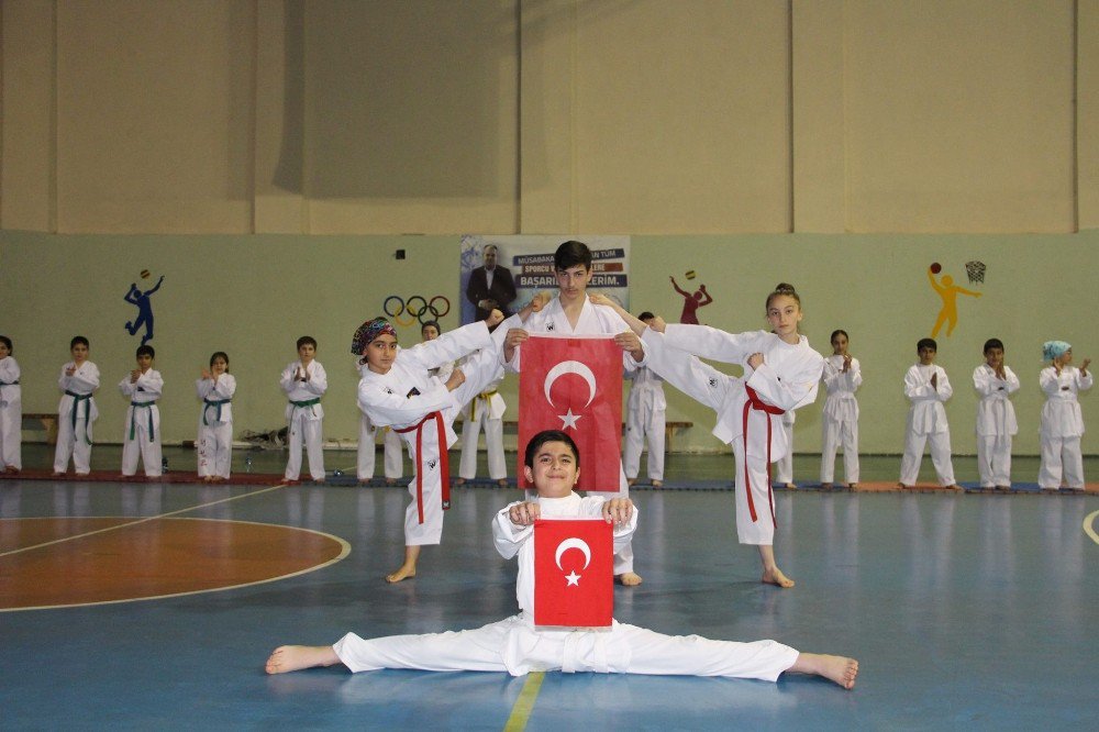 koylerim