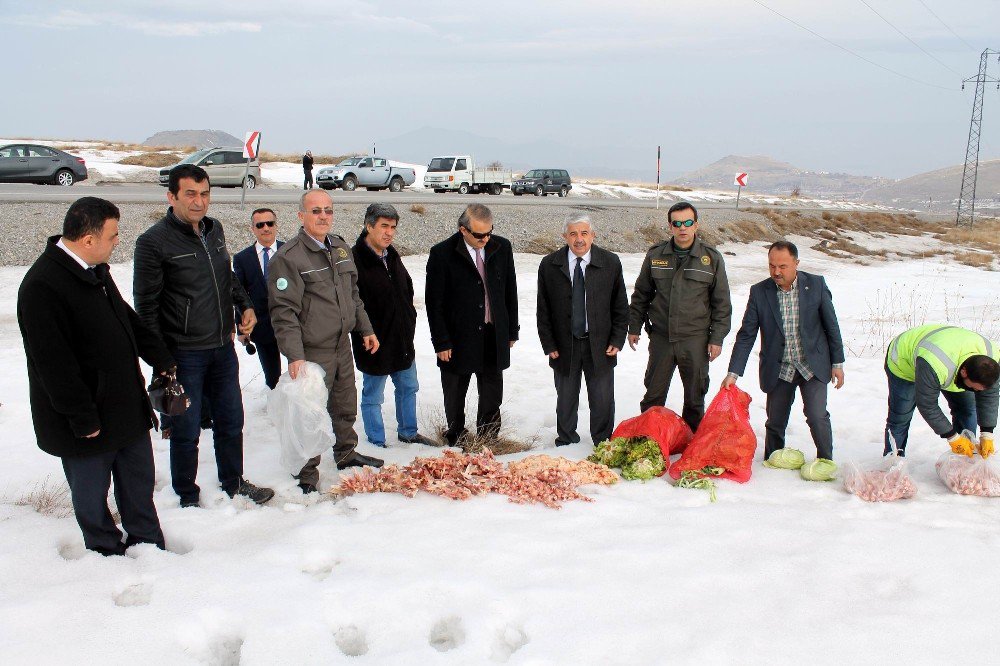 Yaban Hayvanlarına Yem Bırakıldı