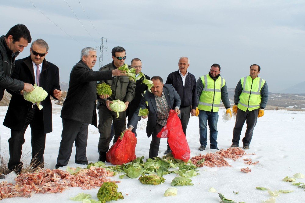 Yaban Hayvanlarına Yem Bırakıldı