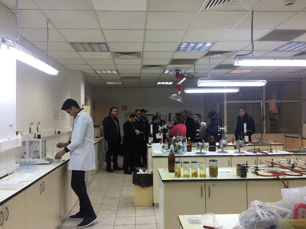 Türkiye Ve Tunus Zeytincilik Sektöründe İşbirliğine Gidiyor