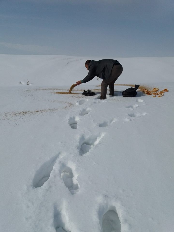 Saray’da Doğaya Yem Bırakıldı