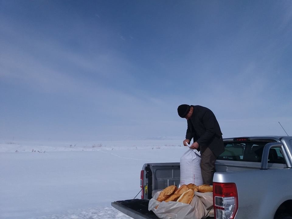 Saray’da Doğaya Yem Bırakıldı