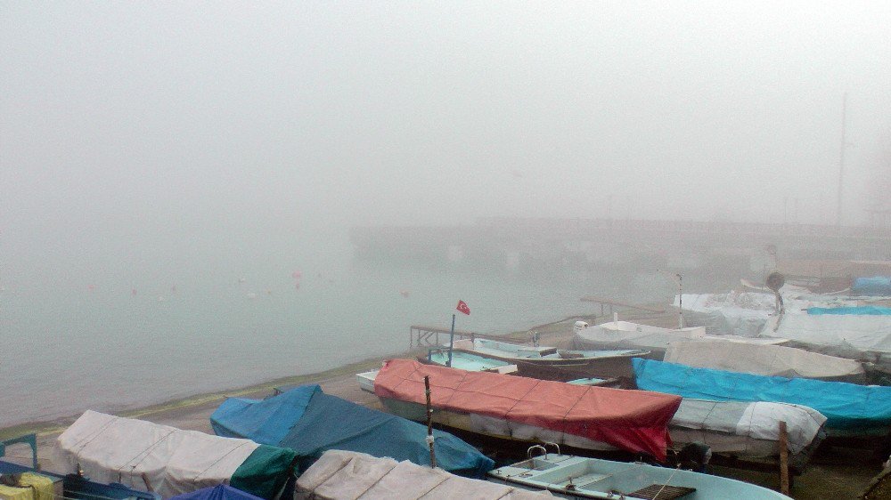 Batı Karadeniz’de Yoğun Sis