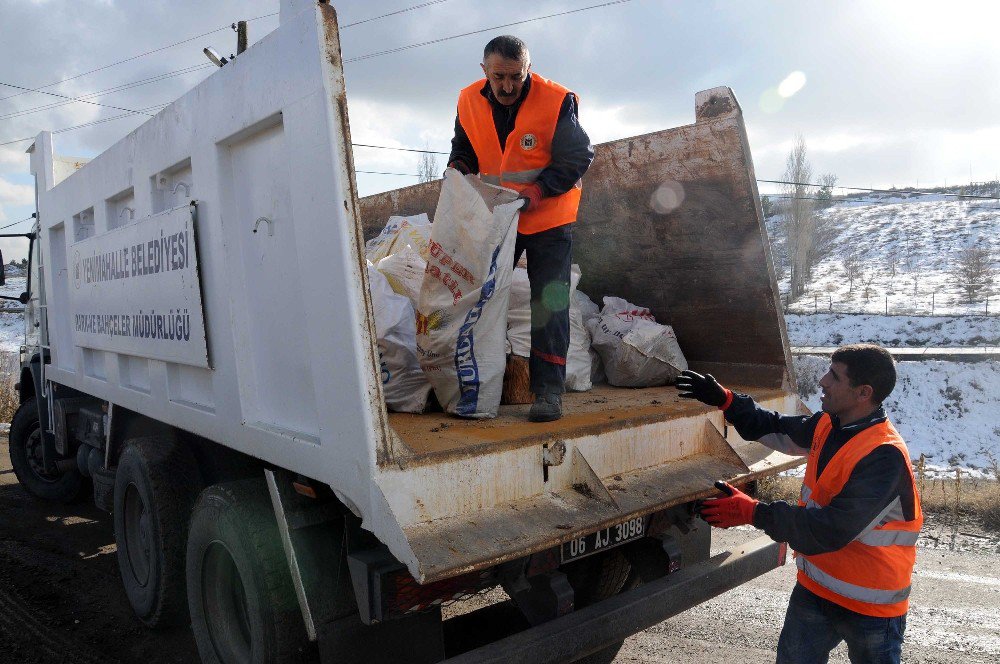 Budama Çalışmaları Bin Aileyi Isıttı