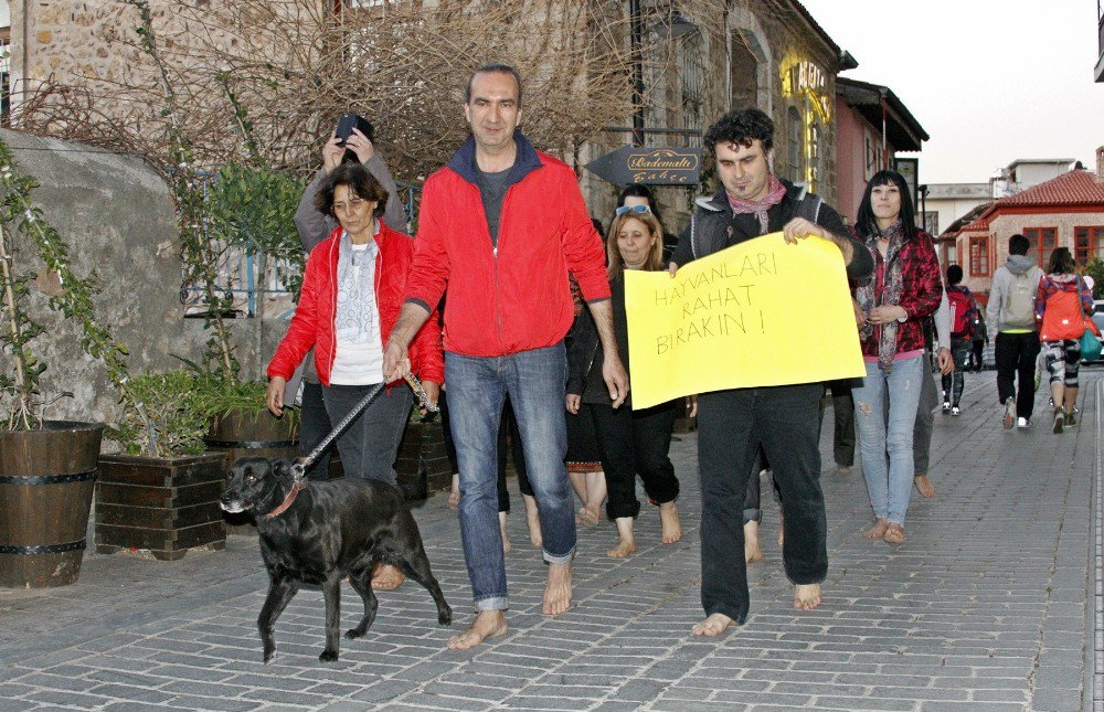 Antalya’da ’Kedi Patili’ Eylem