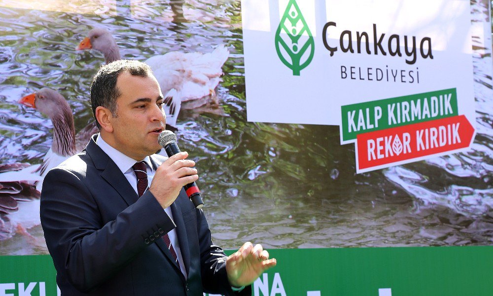 Maltepe Ördekli Park’la Yeniden Canlandı