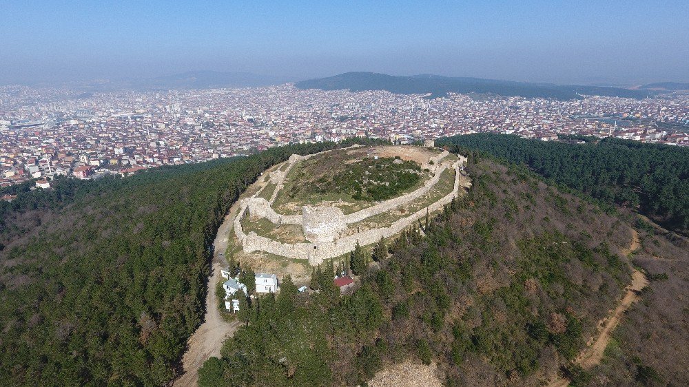 Baharın Müjdeleyicisi İstanbulensis Çiçeği Açtı