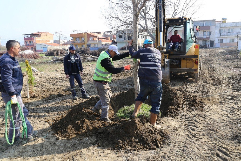 Turgutlu’da Fidanlar Toprakla Buluştu