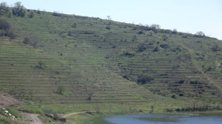 Baraj Havzaları Yeşillendi