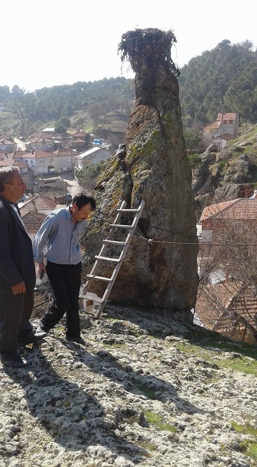 İvrindi’de Asırlık Leylek Yuvası İmece İle Temizlendi