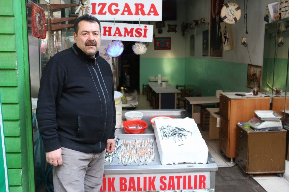 Hamsiyi Bırak Mezgite Bak