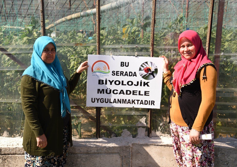 Antalya’da ‘Tarla Günü’ Düzenlendi