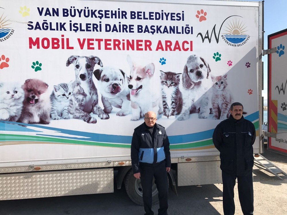 Edremit’te Sokak Köpeklerini Kısırlaştırma Çalışması