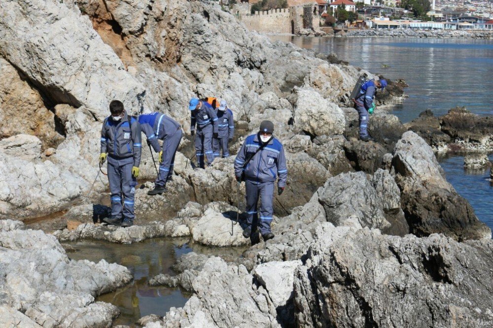 Alanya Ve Akseki’de Sinekle Mücadele