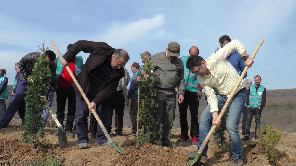 Gebze’de 50 Denetimli Serbestlik Hükümlüsü 5 Bin Fidan Dikti