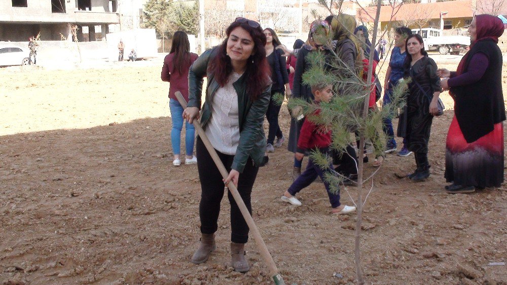 Kızıltepe’de ‘Bir Fidan Bir Kadın’ Programı