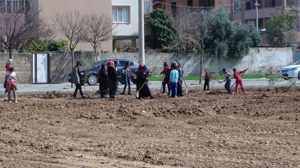 Kızıltepe’de ‘Bir Fidan Bir Kadın’ Programı