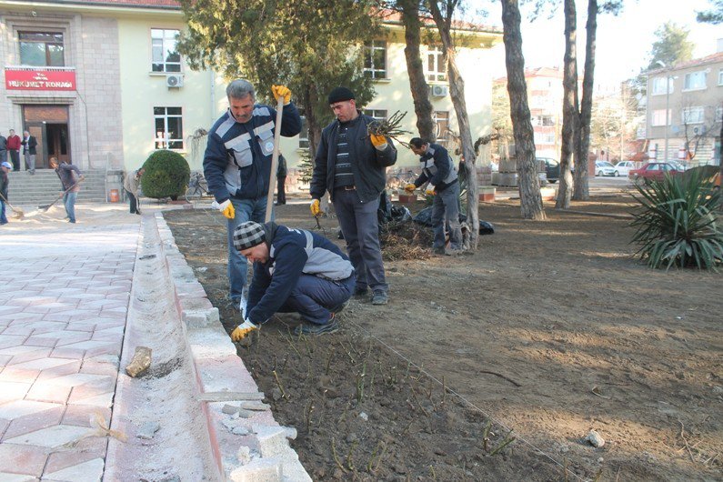 Turhal Hükümet Konağı Bahçesine Bin 500 Gül Dikilecek