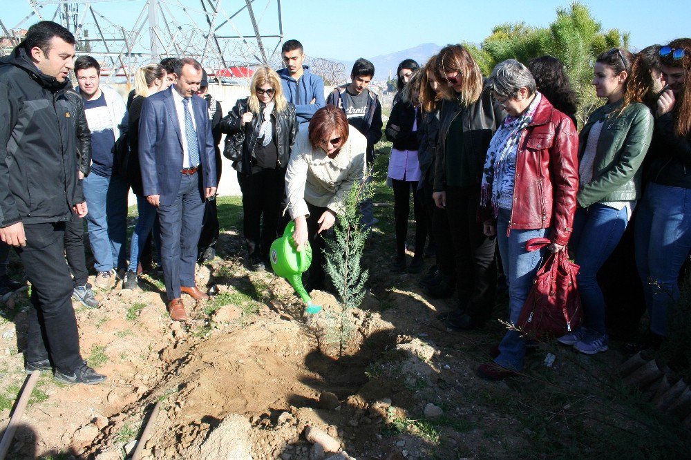 Kıbrıs’ta Yapılan Uluslararası Kongrenin Karbon Ayak İzini Aydın’da Sıfırlandı