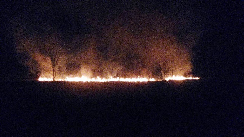 Sakarya’da 5 Hektarlık Sazlık Alan Yandı