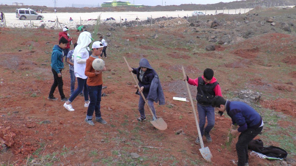 Suriyeli Çocuklar Sığındıkları Topraklarda Ağaç Dikti