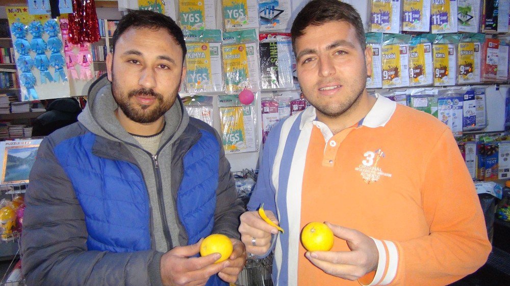 Biber Görünümlü Limon