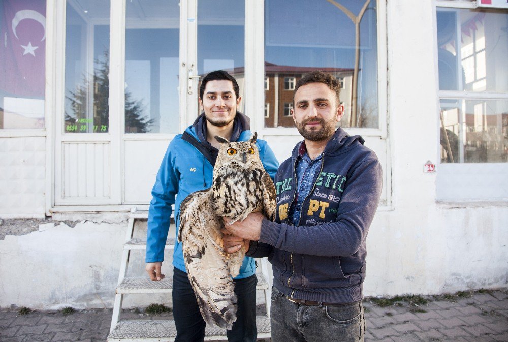 Yaralı Baykuşa Duyarlı Gençler Sahip Çıktı