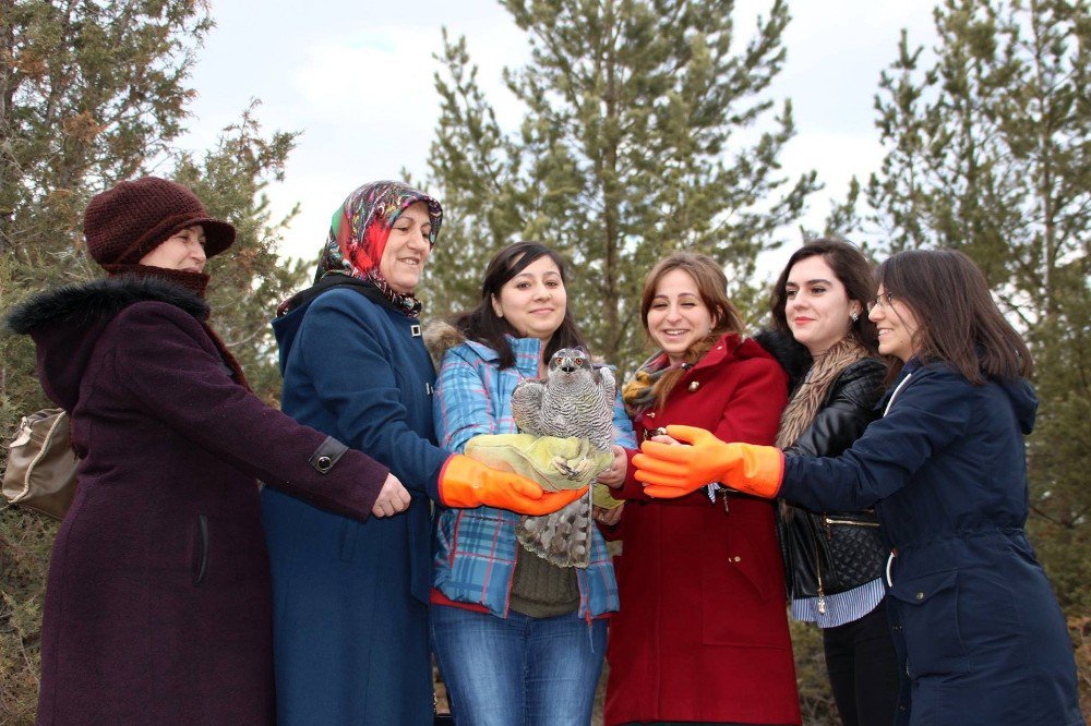 Tedavisi Tamamlanan ‘Çakır’ı Doğaya Kadınlar Salıverdi