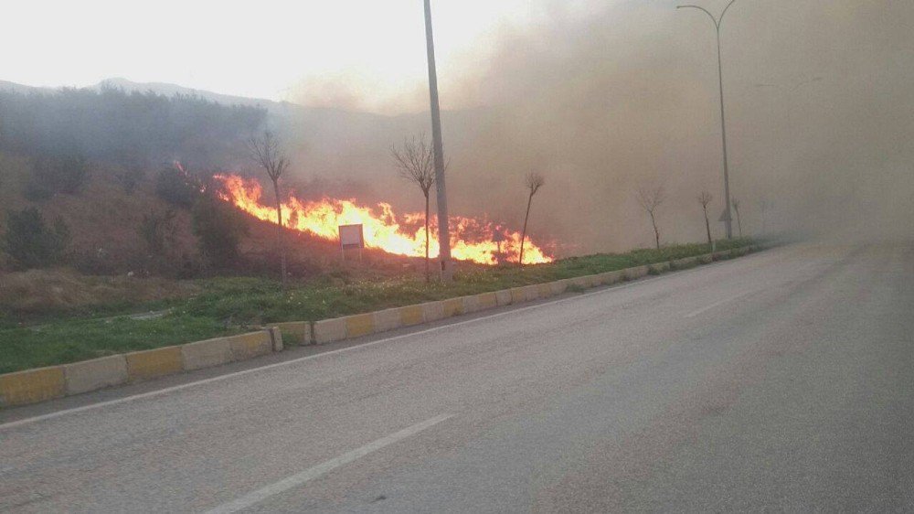 İskenderun’da Orman Yangını