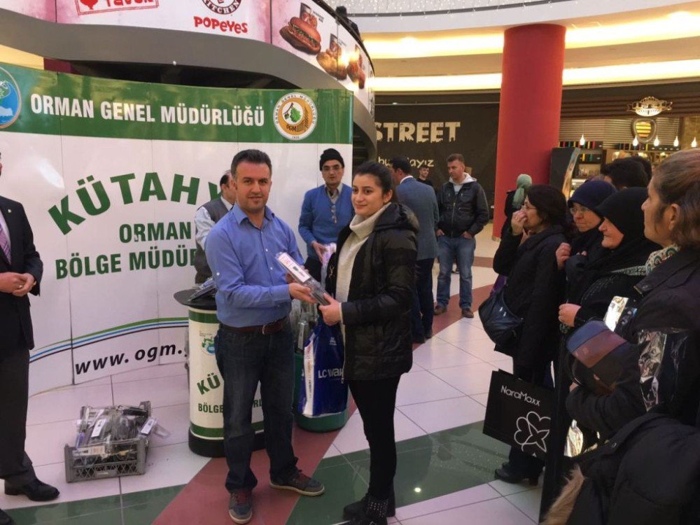 Kütahya’da Kadınlara Bin 71 Fidan