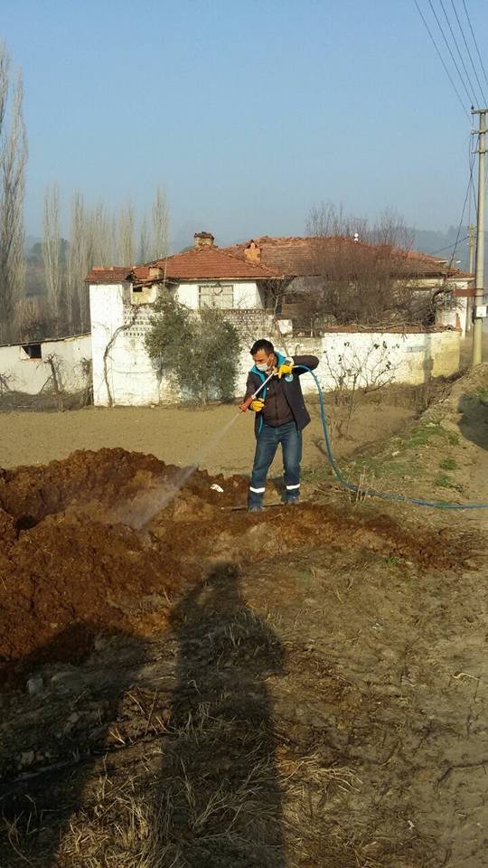 Manisa’da Haşereyle Mücadele Başladı