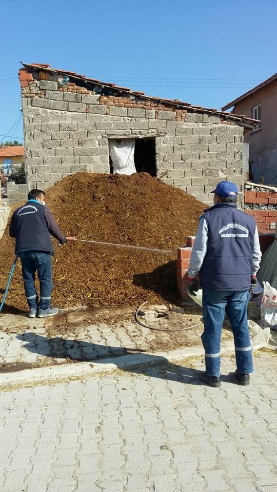 Manisa’da Haşereyle Mücadele Başladı